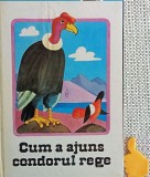 Cum a ajuns condorul rege Povestiri indiene Kurt Kauter