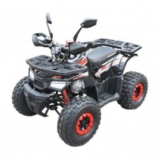 ATV 120cc, 7 CP, 4x2 cu pornire electrica HUNTER II