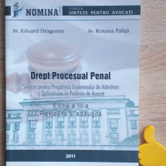 Drept procesual penal sinteze pentru examen Eduard Dragomir Roxana Palita Ed III