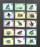 lesotho pasari mnh