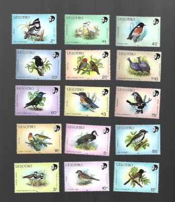 lesotho pasari mnh foto