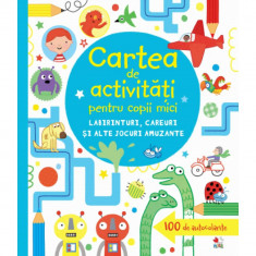 Carte De Activitati Pentru Copii Mici. Labirinturi, Careuri Si Alte Jocuri Amuzante foto
