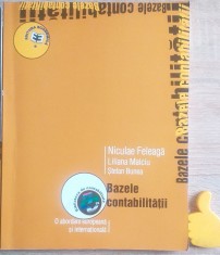 Bazele contabilitatii O abordare europeana si internationala Niculae Feleaga