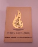 PENEŞ CURCANUL (SERGENTUL CONSTANTIN ŢURCANU) - GAVRILĂ SĂCĂDAT