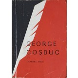 GEORGE COSBUC-DUMITRU MICU-92522
