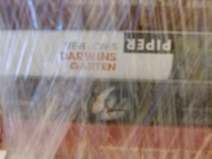 sTEVE jONES - Darwin Gartens