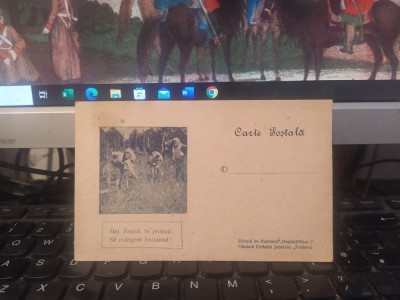 Hai Ileană &amp;icirc;n poiană Să culegem buruiană! Căminul Cultural Prahova, c. 1945 205 foto