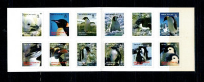 British Antarctic 2006 - Pinguini, carnet timbre autocolant neuz foto