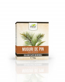 Ceai de Muguri de pin, 50g, Dorel Plant