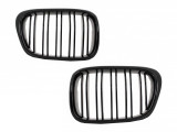 Set Grile Radiator Nari Bmw Seria 5 E39 1996-2003 FGBME39DPB, General