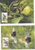 FILATELIE TEMATICA - PLIC SLOVACIA TEMATICA FLORA FLORI, Stampilat