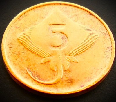Moneda 5 AURAR - ISLANDA, anul 1981 *cod 3292 - MODELUL MIC foto