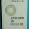 Cezar Baltag &ndash; Unicorn in oglinda ( prima editie )