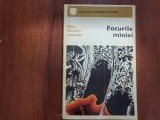 Focurile maniei de Max Olivier-Lacamp