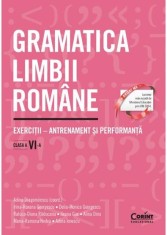 Gramatica limbii romane. Exercitii &ndash; antrenament si performanta. Clasa a VI-a - Corint