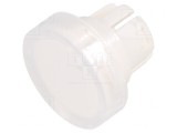 Lentilă Transparentă Buton 22mm Plastic &Oslash;15,8mm