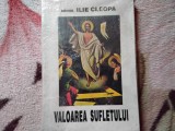 Valoarea Sufletului - Arhimandrit Cleopa Ilie (6)