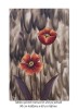 Tablou pictat manual, Maci, 90x60cm ulei pe panza, gata de expus pe perete