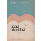 Boala pilonidala