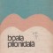 Boala pilonidala
