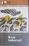 Prin Labirint de Gheorghe Buzoianu, Editura Militara 1986, Carte Politista, Colectia Sfinx, Paperback