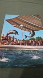 CARTE POSTALA CONSTANTA -DELFINARIU CIRCULATA