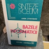 Bazele informaticii - Leon Livovschi