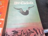 ber caciula de ic vissarion an 1970 ilustratii de marcela cordescu a1