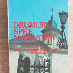 Drumuri spre mănăstiri. Mic ghid... - Mihai Vlasie