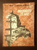 Ion P&icirc;rvulescu - Prizonier 12 ani (1991)