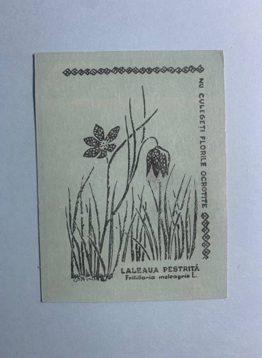 Calendar 1969 flori laleaua pestriță
