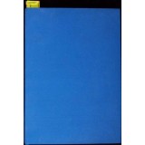 PROTEZE DENTARE VOL.2-ION RINDASU-293562