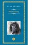 Black Beauty - Anna Sewell