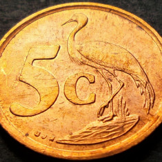 Moneda exotica 5 CENTI - AFRICA de SUD, anul 1997 * cod 5306 - AFRIKA DZONGA