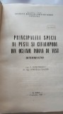 PRINCIPALELE SPECII DE PESTI SI CEFALOPODE DIN OCEANUL INDIAN DE VEST.DETERMINATOR.V.DUMITRESCU-1987 X3.