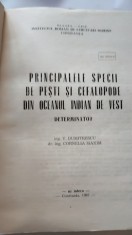 PRINCIPALELE SPECII DE PESTI SI CEFALOPODE DIN OCEANUL INDIAN DE VEST.DETERMINATOR.V.DUMITRESCU-1987 X3.