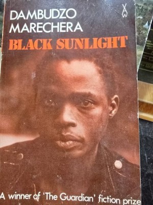 Black Sunlight - Dambudzo Marechera foto