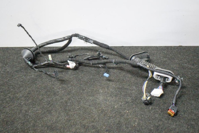 Cablaj ușă dreapta spate TESLA MODEL 3 2019 OEM: 2067966-00-A 11243835