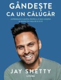 Gandeste ca un calugar. Antreneaza-ti mintea pentru a-ti gasi linistea si scopul in viata de zi cu zi/Jay Shetty
