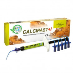 Calcipast+I - hidroxid de calciu cu iodoform 2.1g foto