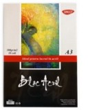 Bloc A3 acril 300g 10 File DACO BD331