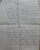 Manuscris Caton Theodorian; Verigheta, nuvela, 8 pagini