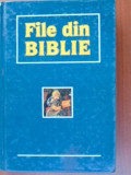 File din Biblie Chisnau Literatura artistica