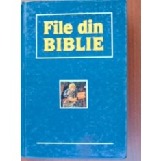 File din Biblie Chisnau Literatura artistica