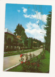 CA19 -Carte Postala- Olanesti, Aleea Trandafirilor ,circulata 1987