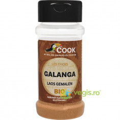 Pudra de Galangal fara Gluten (Solnita) Ecologica/Bio 25g