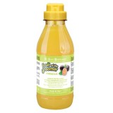 Sampon Iv San Bernard Maracuja, pentru caini si pisici, 500ml