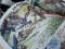 Foto  - 3
