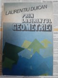 Laurentiu Duican - Prin labirintul geometriei