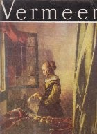 Vermeer de Delft foto